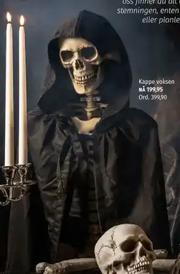 Nille Kappe voksen tilbud