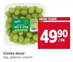 Meny Cevita druer tilbud