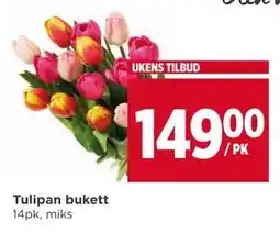 Meny Tulipan bukett tilbud