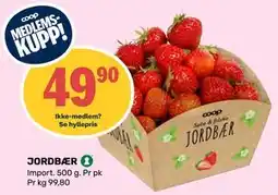 Matkroken JORDBÆR, Medlemspris tilbud