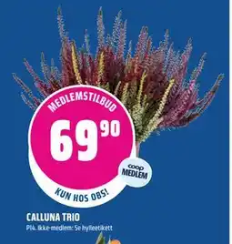 Coop Obs CALLUNA TRIO, Medlemspris tilbud