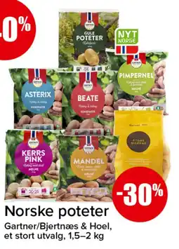 Spar Gartner poteter tilbud