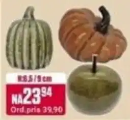 Europris Pumpkin tilbud