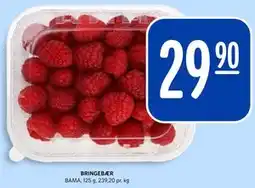Rema 1000 BRINGEBÆR tilbud