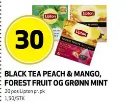 Bunnpris BLACK TEA PEACH & MANGO, FOREST FRUIT OG GRØNN MINT tilbud