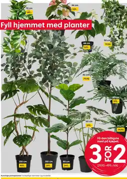 Rusta Kunstige potteplanter tilbud