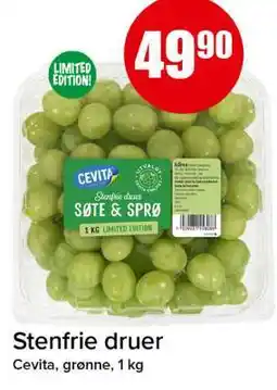 Spar Stenfrie druer tilbud