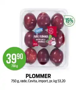 Kiwi PLOMMER tilbud