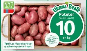 Poteter