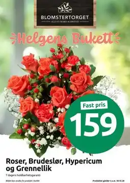 Joker Roser, Brudeslør, Hypericum og Grennellik tilbud