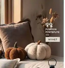 Skeidar PUMPKIN PYNTEPUTE tilbud