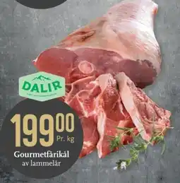 CC Mat Dalir Gourmetfärrikål av lammelår tilbud