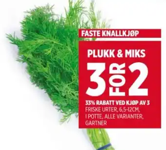 Meny Gartner friske urter tilbud