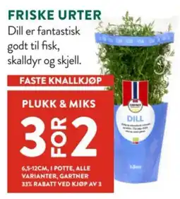 Jacobs Gartner dill tilbud