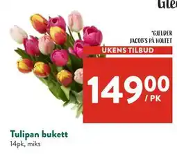 Jacobs Tulipan bukett tilbud