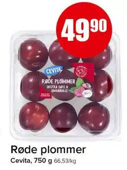 Spar Røde plommer tilbud