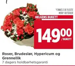 Meny Roser, Brudeslør, Hypericum og Grennellik tilbud