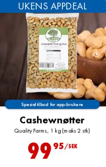 Cashew nøtter