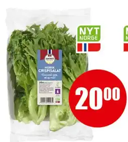 Spar Gartner Crispisalat tilbud