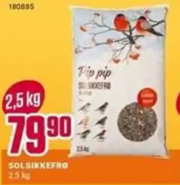 Europris Pip pip Solsikkefrø tilbud