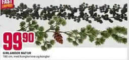Europris Girlander Natur tilbud
