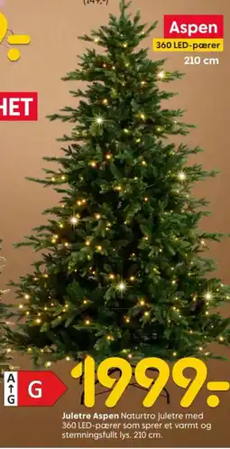 Rusta Aspen juletre tilbud