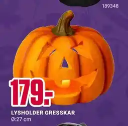 Europris LYSHOLDER GRESSKAR tilbud