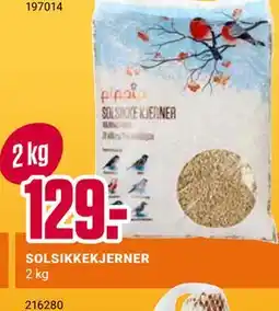 Europris SOLSIKKEKJERNER tilbud