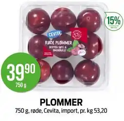 Kiwi PLOMMER tilbud