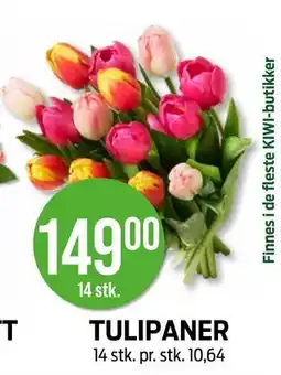 Kiwi TULIPANER tilbud