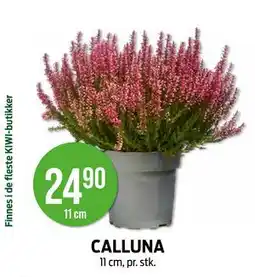 Kiwi CALLUNA tilbud