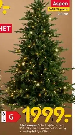 Rusta Juletre Aspen tilbud