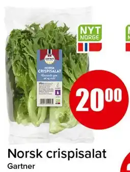 Spar Norsk crispisalat tilbud