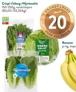 Jacobs Crispi-/isberg-/Hjertesalat tilbud