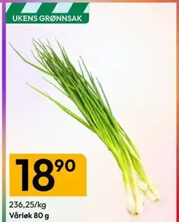 Gigaboks Vårløk 80 g tilbud