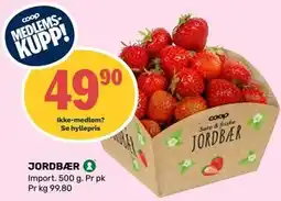 Matkroken JORDBÆR, Medlemspris tilbud