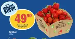 Coop Obs Jordbær, Medlemspris tilbud