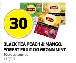 Bunnpris BLACK TEA PEACH & MANGO, FOREST FRUIT OG GRØNN MINT tilbud
