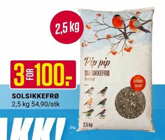 Europris Solsikkefrø tilbud