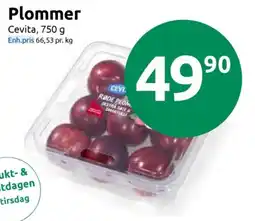 Joker Cevita plommer tilbud