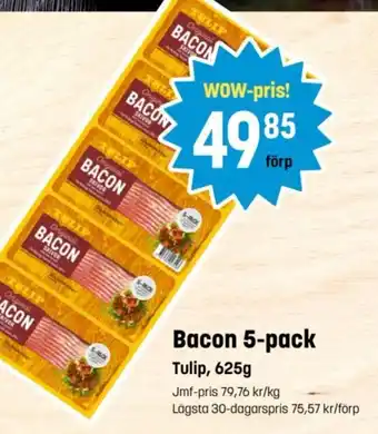 Tulip Bacon 5-pack