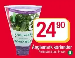Coop Extra Ånglamark koriander tilbud