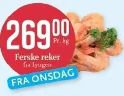 CC Mat Ferske reker tilbud