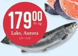 CC Mat Laks, Aurora tilbud