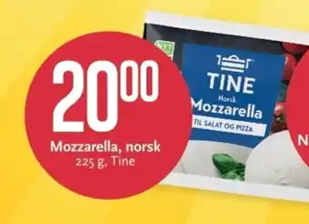 CC Mat Tine Mozzarella tilbud