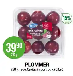Kiwi PLOMMER tilbud