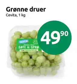 Joker Grønne druer tilbud