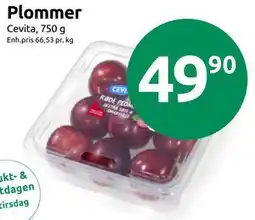 Joker Plommer tilbud