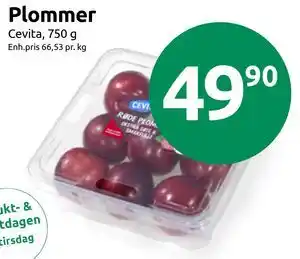 Joker Plommer tilbud