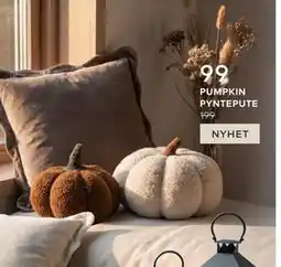 Skeidar PUMPKIN PYNTEPUTE tilbud
